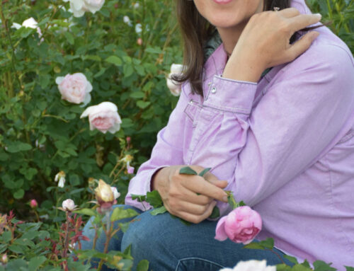 Protected: Elizabeth Robbins Learn Paint Grow