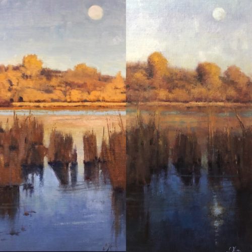 Moon On The Marsh Before and After Search and Destroy