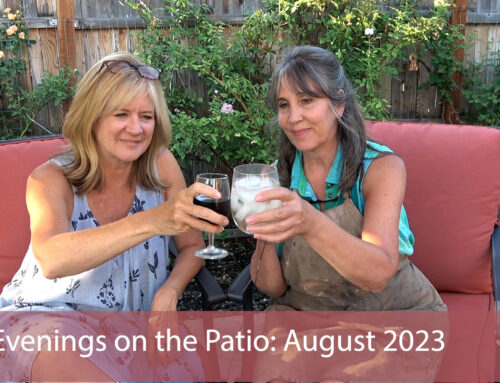 Evenings on the Patio: Aug 2023